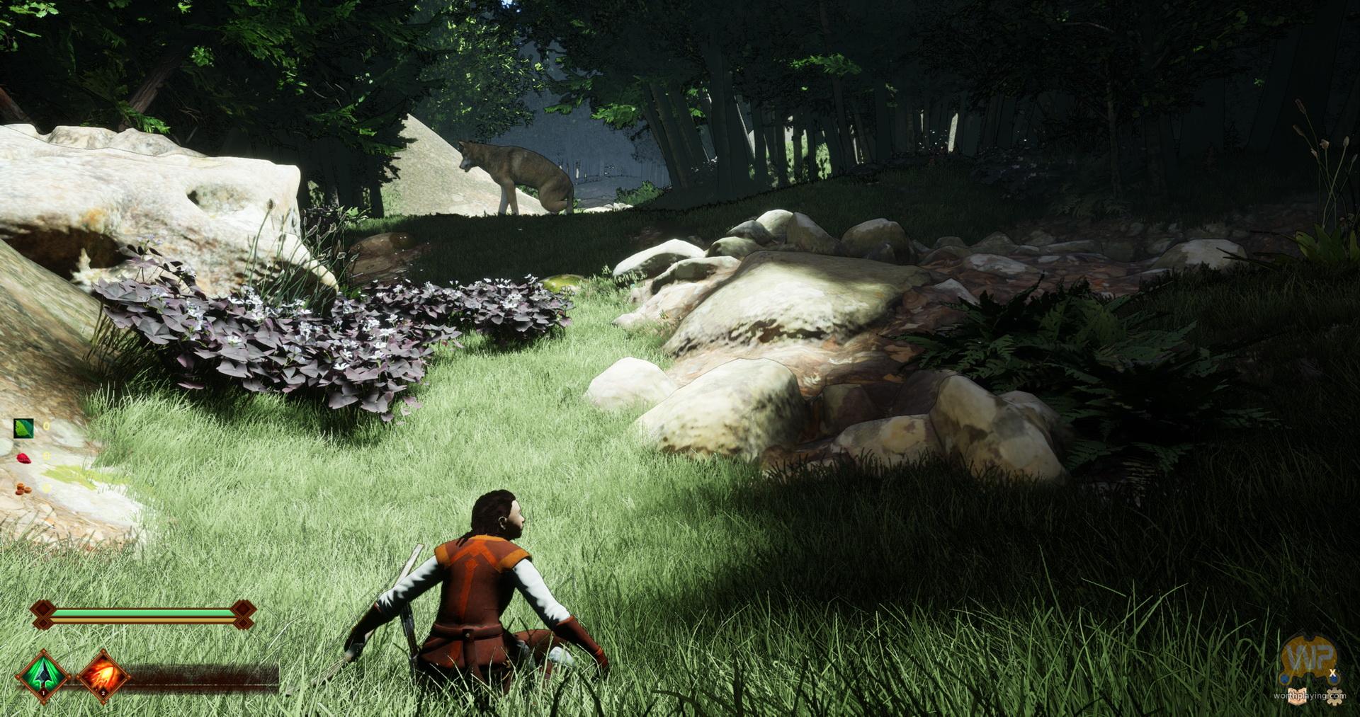 Anya playing with bond divinewin3