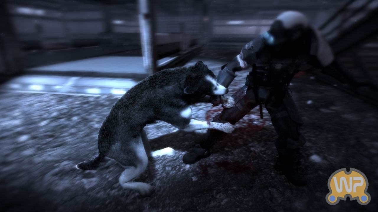 Game dog ru. Dead to rights Retribution ps3. Project Cat Shadow Dog Chase. Dog's Shadow as dick.