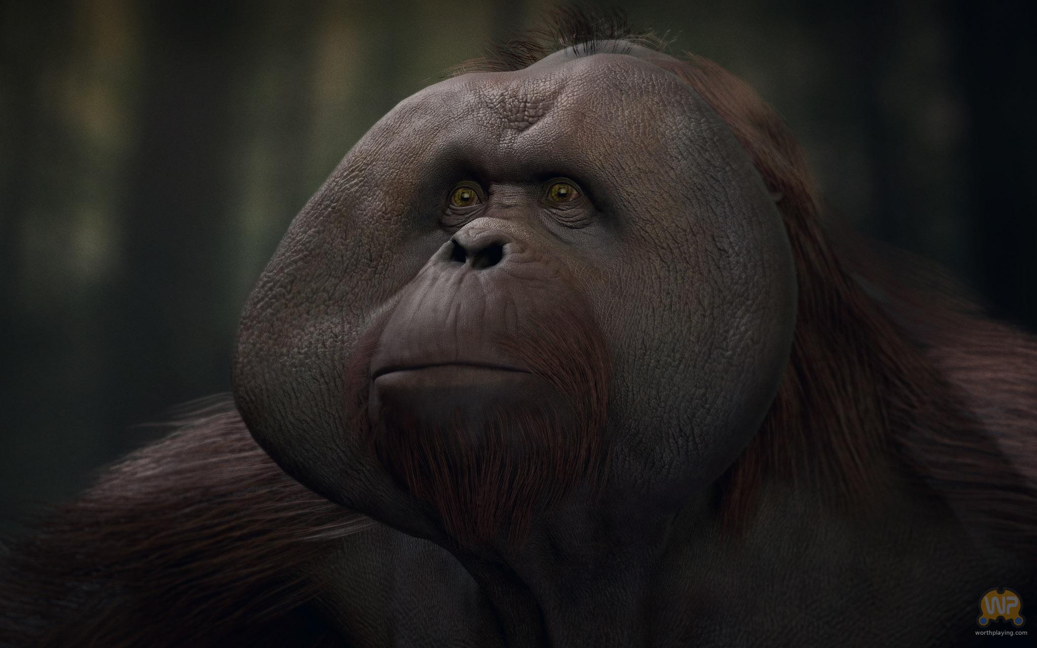 Игра планета обезьян. Planet of the Apes: last Frontier. Planet of the Apes: last Frontier игра. Планета обезьян игра на ps4. Орангутанг Планета обезьян.