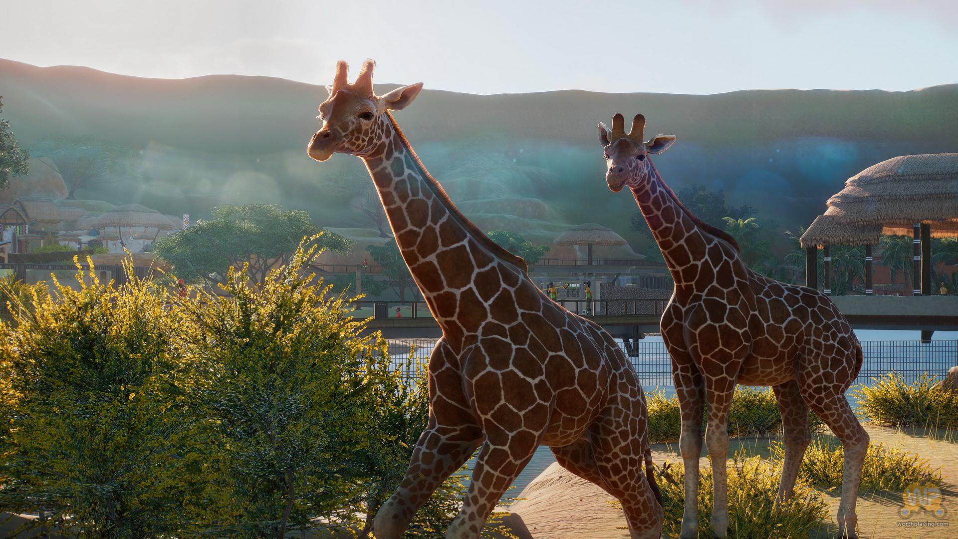 planet zoo animal download