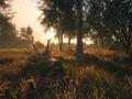 The Hunter: Call Of The Wild Rancho Del Arroyo Expansion Adds Five New  Animals And More - GameSpot