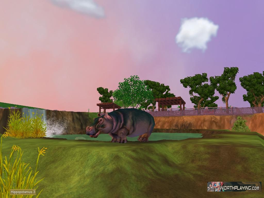 Zoo Tycoon 3: Hippopotamus 